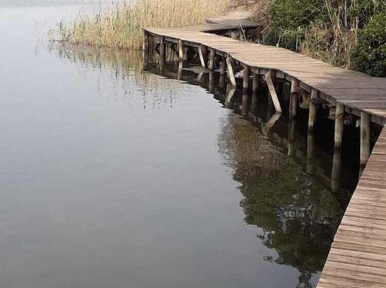 פנסיון The Tops