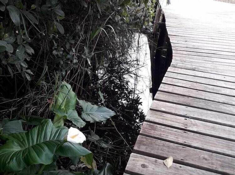 פנסיון The Tops