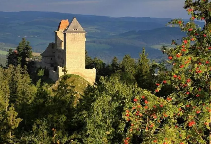 پانسیون U Kašny