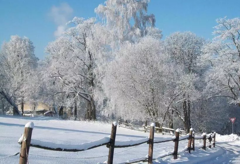 پانسیون U Kašny