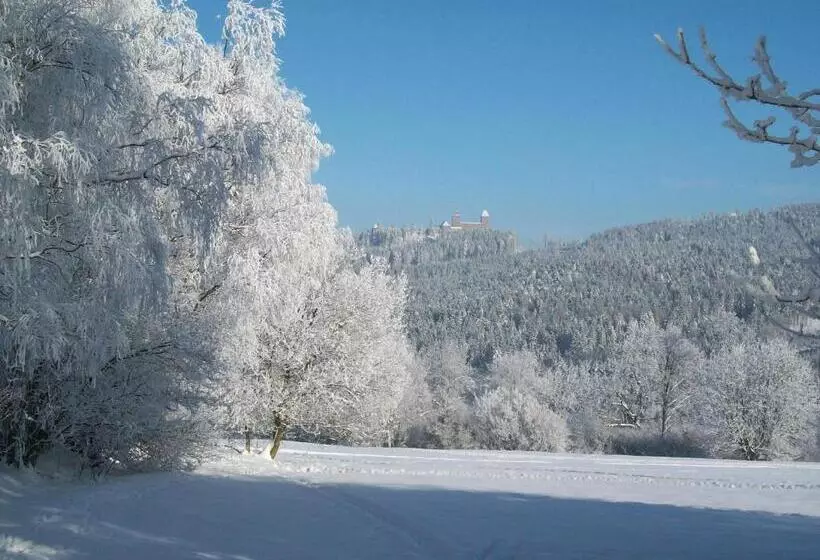 پانسیون U Kašny