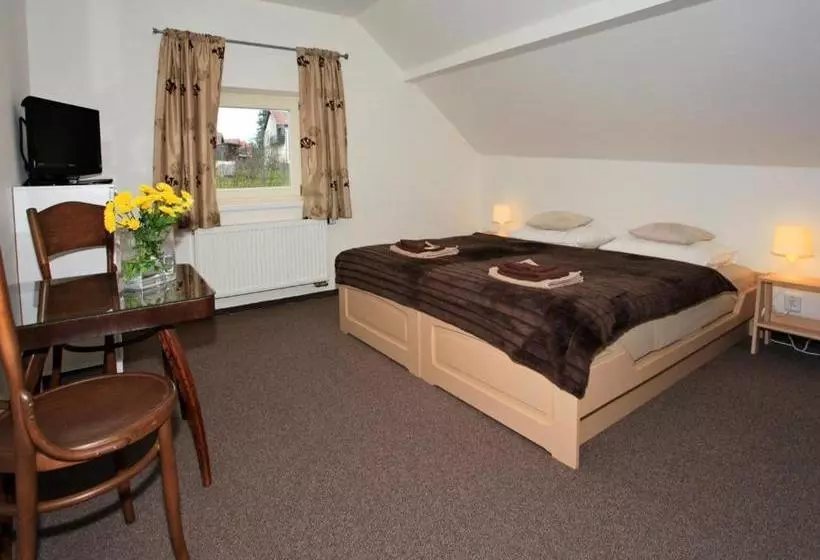 پانسیون U Kašny