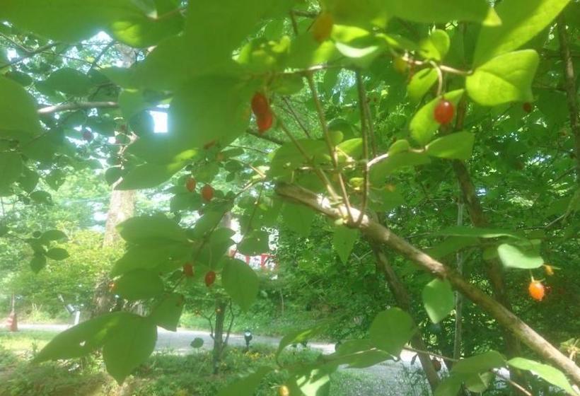 Пансион Yumekiko