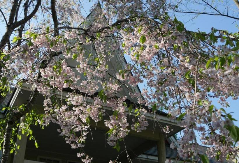 Пансион Yumekiko