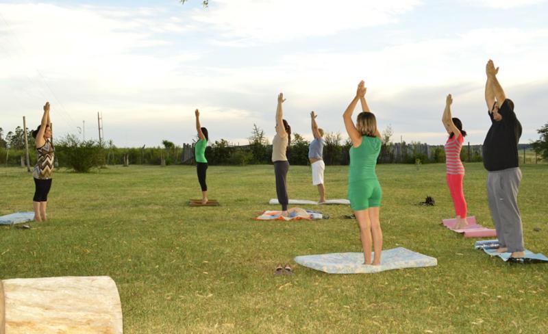 فندق صغير Alquimia Posada