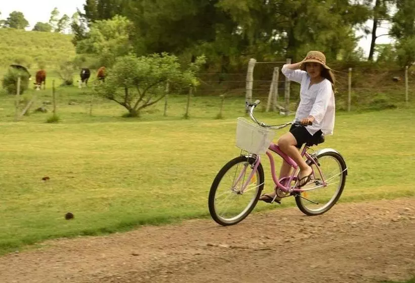 ユースホステル Alquimia Posada