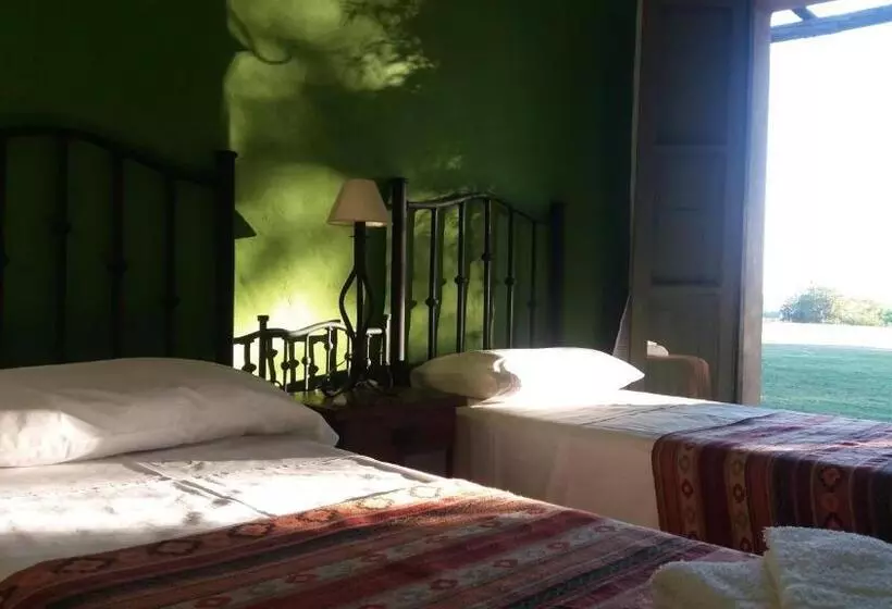 ユースホステル Alquimia Posada