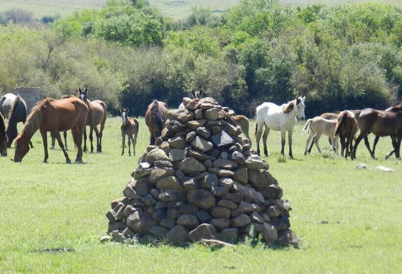 فندق صغير Alquimia Posada