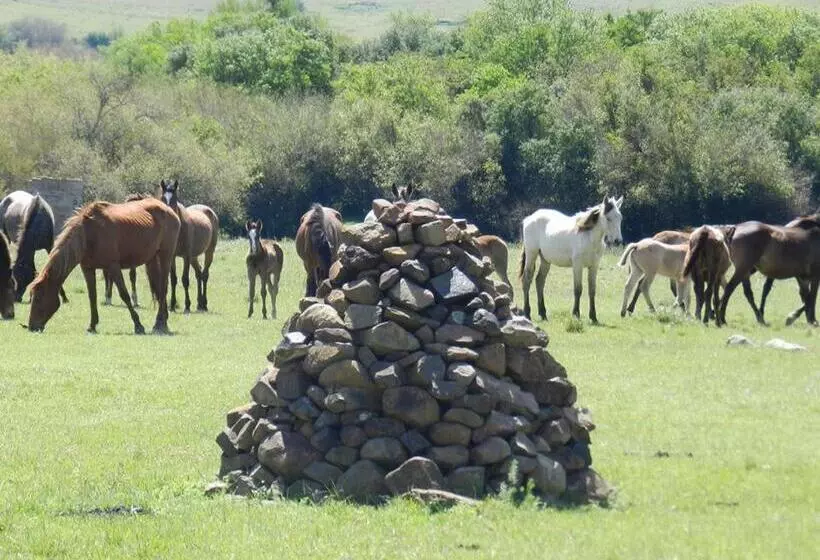 ユースホステル Alquimia Posada