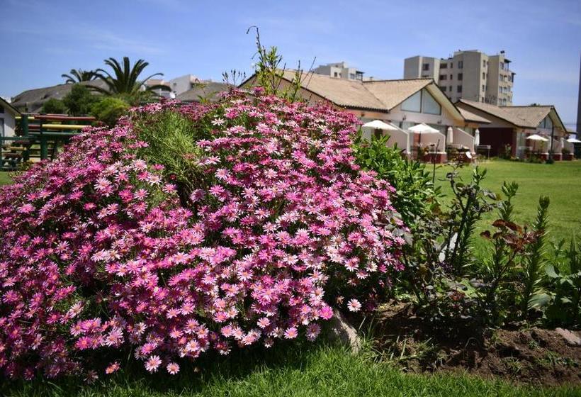 Apart Hotel Y Cabanas Vegasur