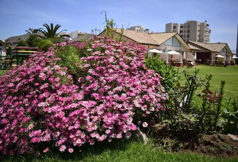 Apart Hotel Y Cabanas Vegasur