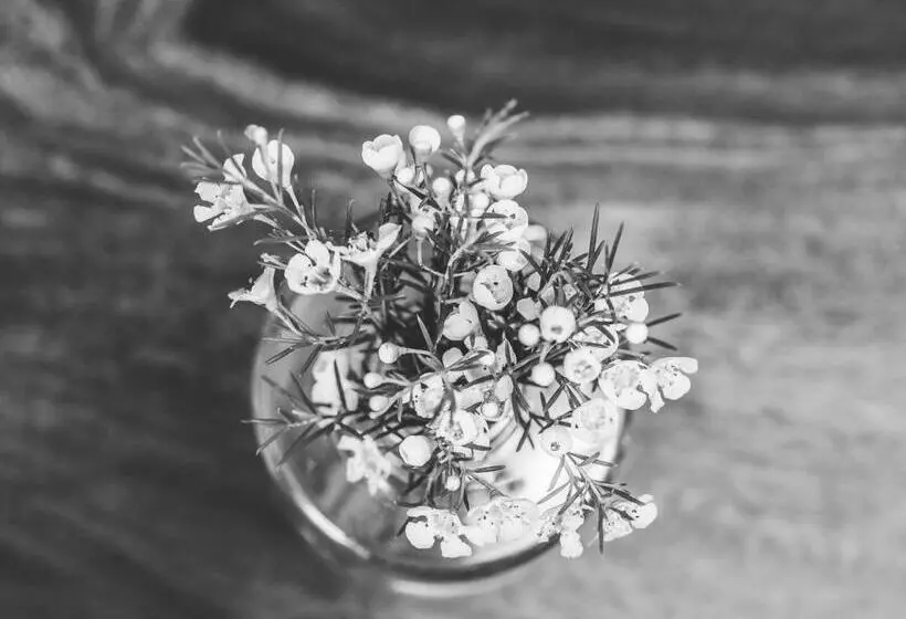 Aamiaismajoitus (B&B) Emma S Kleines