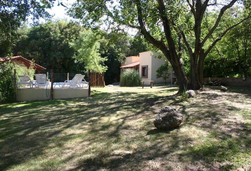 El Rincón Del Molle