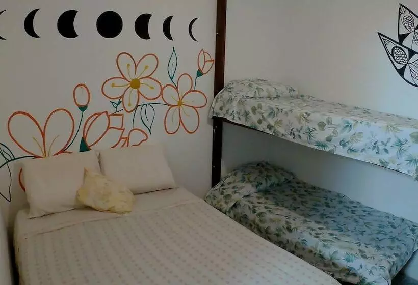 Hostel Freedive Inn