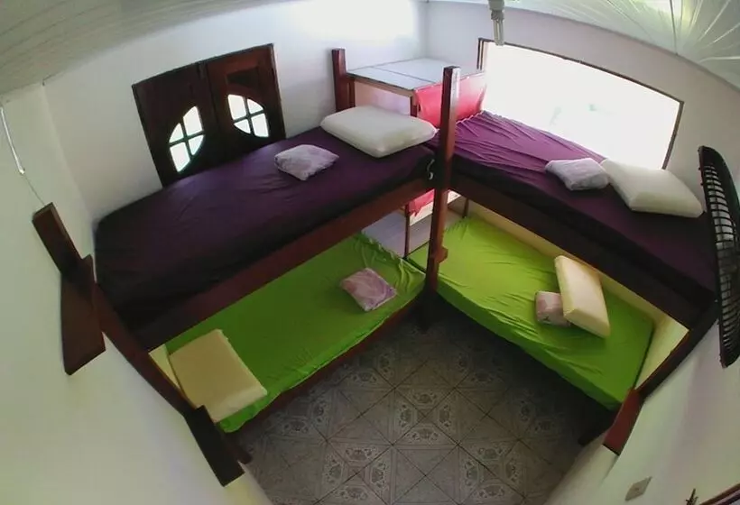 Hostel Freedive Inn
