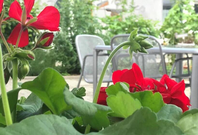 Отель Vogelhubergut Familie Scherleithner