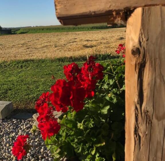 Отель Vogelhubergut Familie Scherleithner
