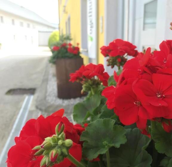 Отель Vogelhubergut Familie Scherleithner