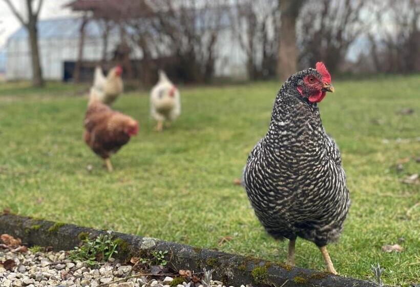Отель Vogelhubergut Familie Scherleithner