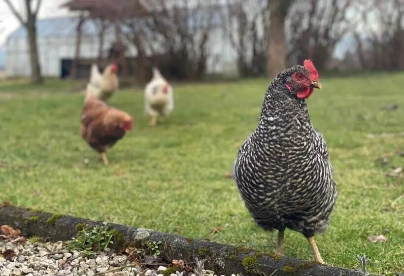 ホテル Vogelhubergut   Familie Scherleithner