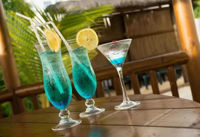 L Oiseau De L Ocean Tourist Residence