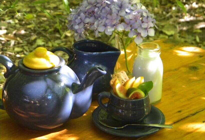 پانسیون El Rincon Eco