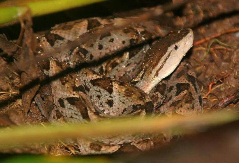 Пансион Encanto Lodge