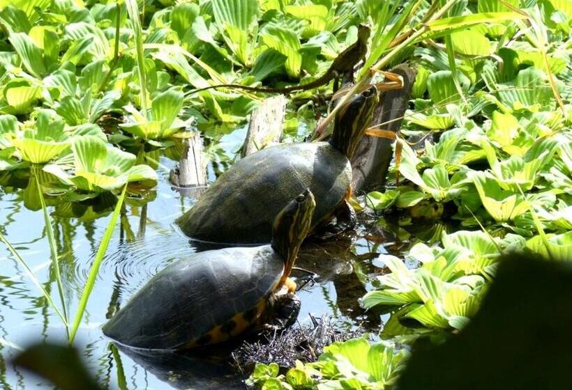 Пансион Encanto Lodge