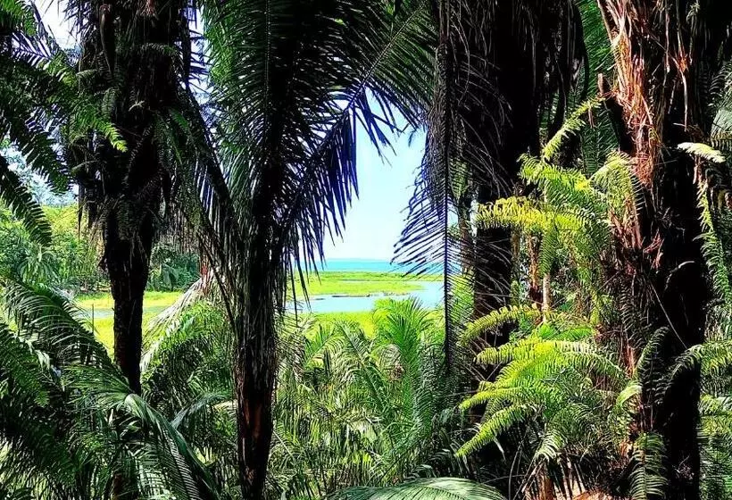 ペンション Encanto Lodge