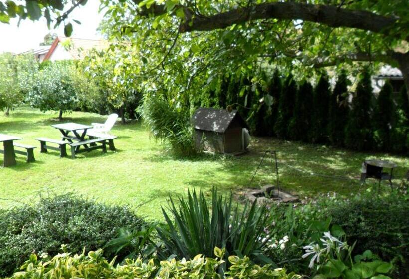 بنسيون Hajnalka Vendégház