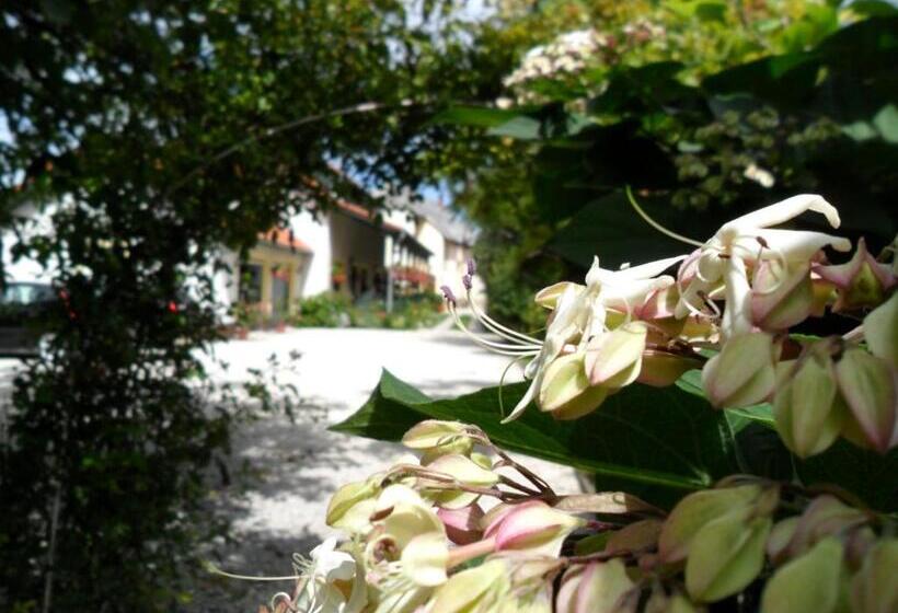 بنسيون Hajnalka Vendégház