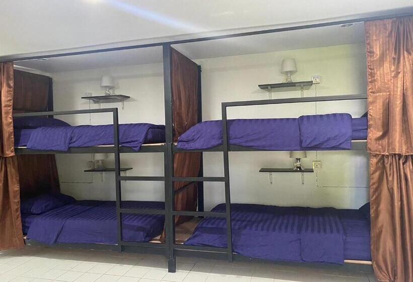 بنسيون Pai Circus Hostel