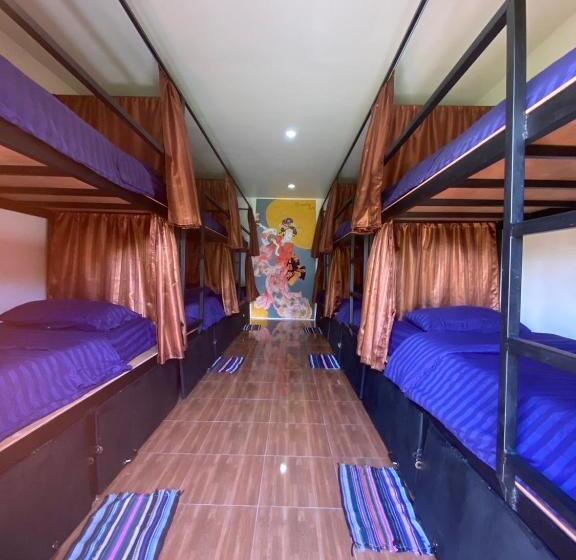بنسيون Pai Circus Hostel