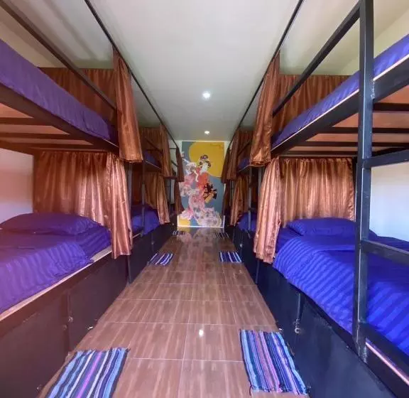 پانسیون Pai Circus Hostel