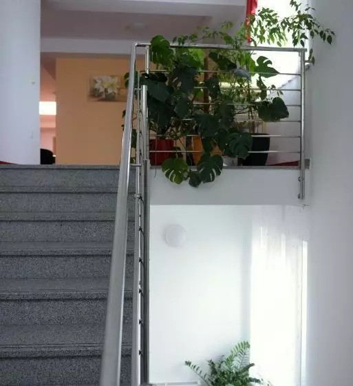 پانسیون Penzion Letališče
