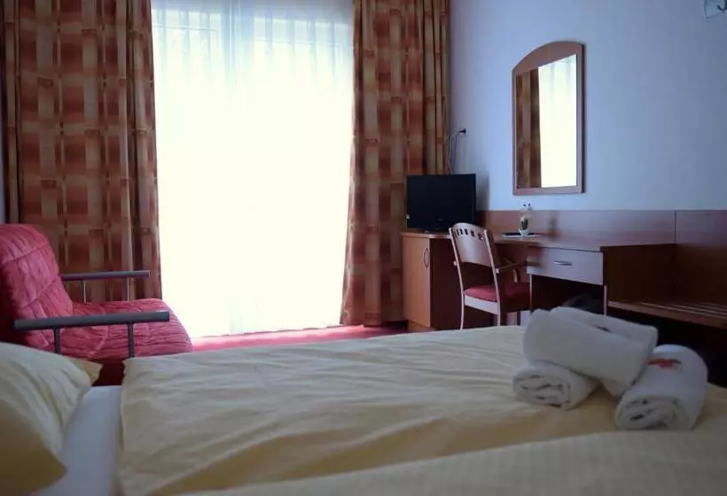 پانسیون Penzion Letališče