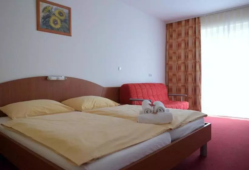 پانسیون Penzion Letališče