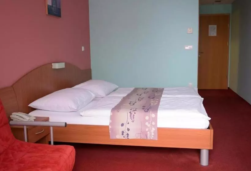 پانسیون Penzion Letališče