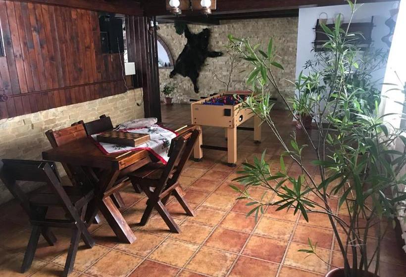 Pensiunea Cerbul Carpatin