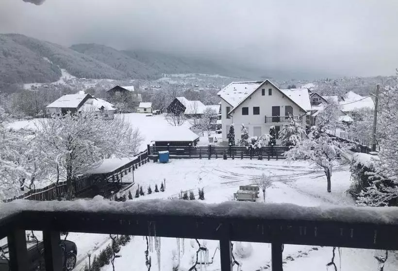 Pensiunea Cerbul Carpatin