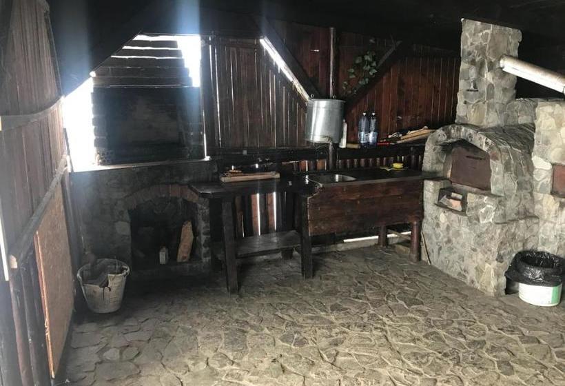 Pensiunea Cerbul Carpatin