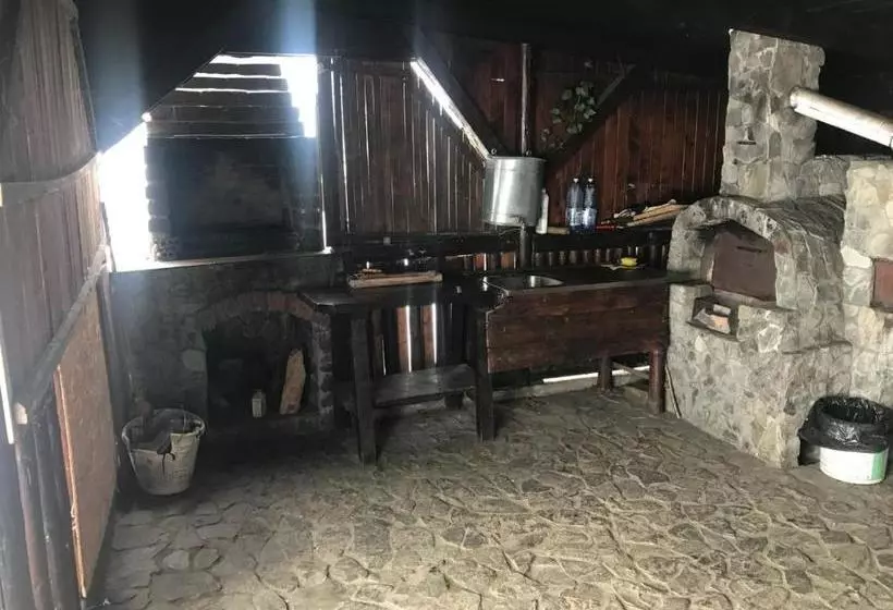 Pensiunea Cerbul Carpatin
