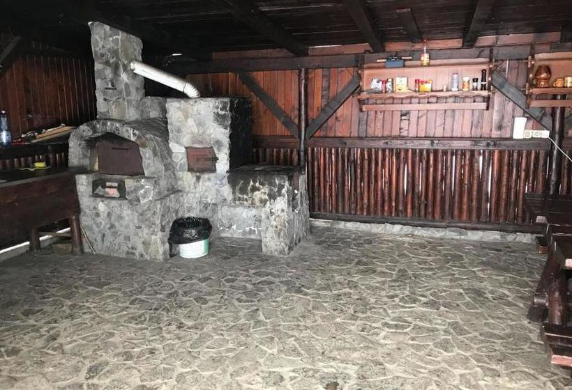 Pensiunea Cerbul Carpatin