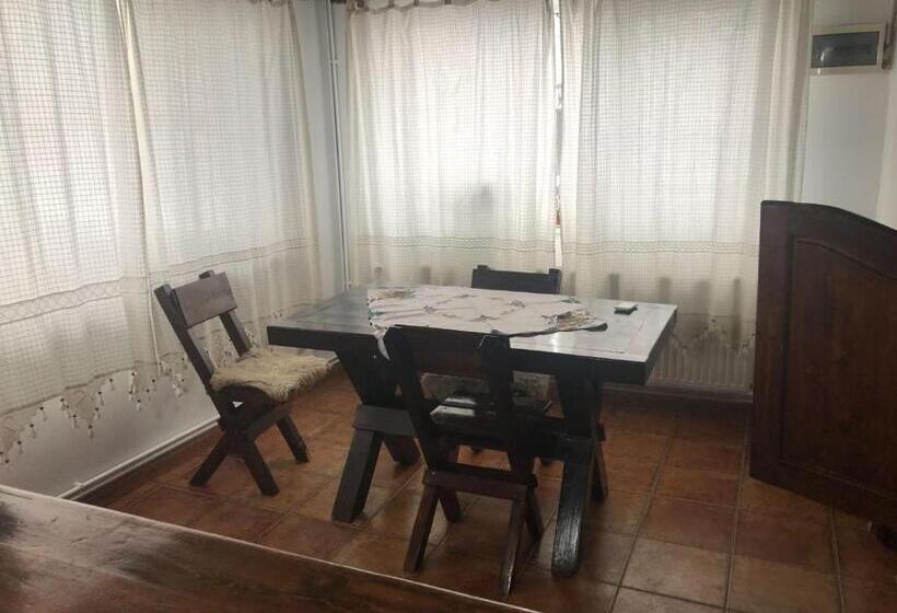 Pensiunea Cerbul Carpatin