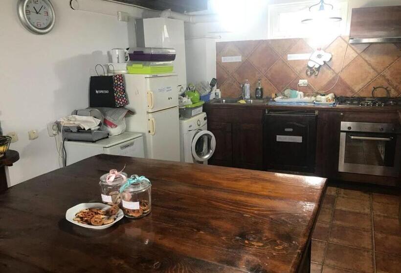 Pensiunea Cerbul Carpatin