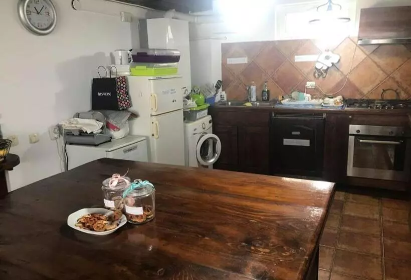 Pensiunea Cerbul Carpatin