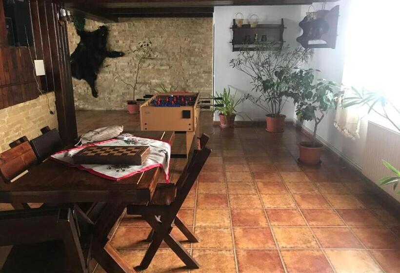 Pensiunea Cerbul Carpatin