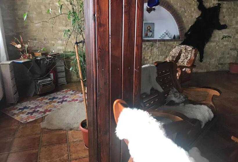 Pensiunea Cerbul Carpatin