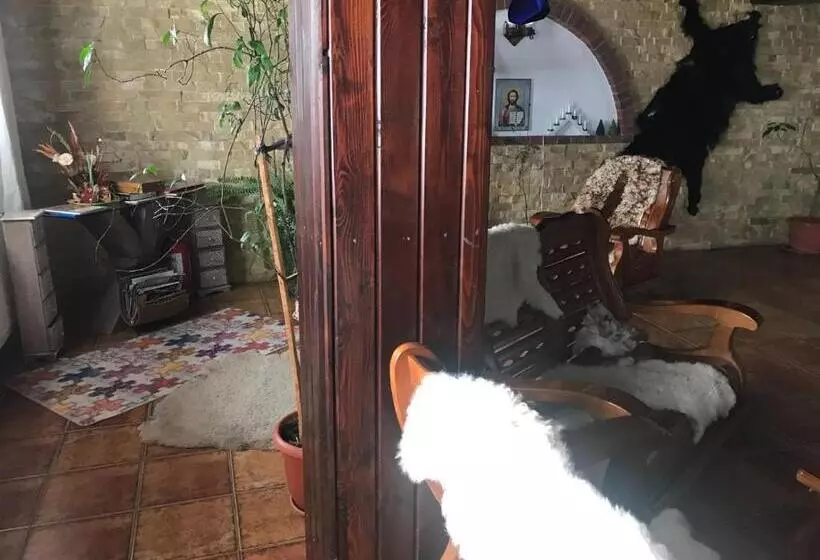 Pensiunea Cerbul Carpatin