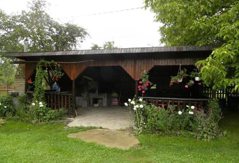 Pensiunea Cerbul Carpatin